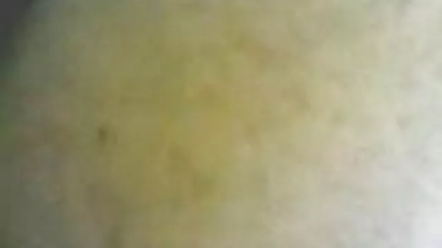 たくさんのディックス。 セックス 無料 動画 女性 向け